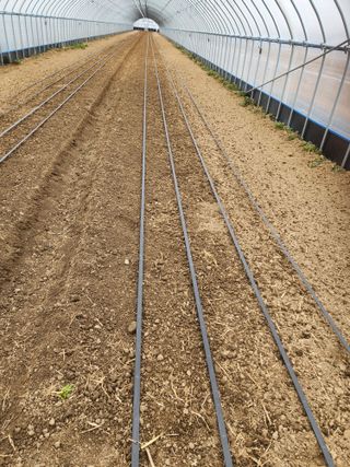 김저팔계님의 기타작물 · 영농일지 작성글 사진