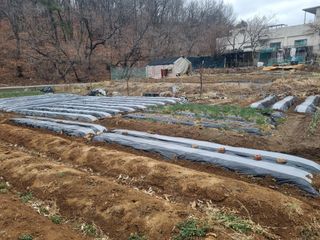 양길호님의 작성글 사진