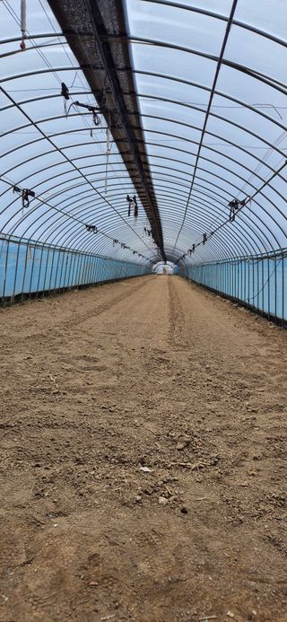 미노님의 기타작물 · 영농일지 작성글 사진