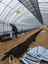 블루베리25247님의 작성글 사진