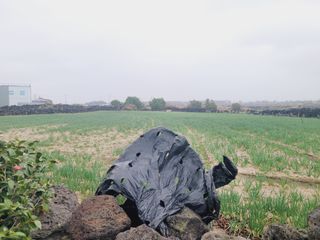 한경훈님의 기타작물 · 영농일지 작성글 사진