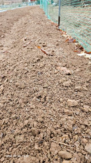 임상근님의 기타작물 · 영농일지 작성글 사진