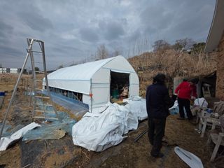 이훈정(시몬)님의 기타작물 · 영농일지 작성글 사진