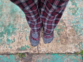 늘햇살팜 님의 기타작물 · 영농일지 작성글 사진