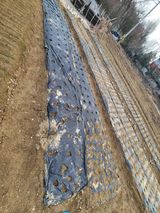 알렉산더님의 작성글 사진