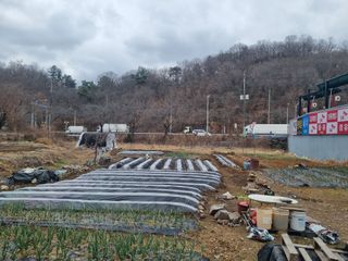 양길호님의 기타작물 · 영농일지 작성글 사진