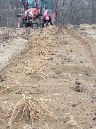 이름유순옥님의 기타작물 · 영농일지 작성글 사진