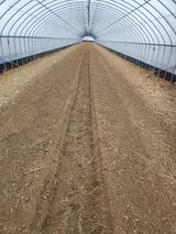 팜모닝 기타작물·영농일지 게시글 이미지