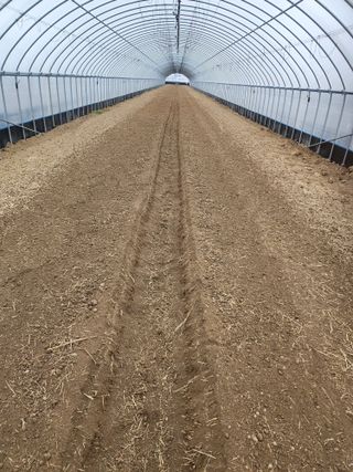 김저팔계님의 기타작물 · 영농일지 작성글 사진