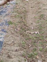 박상현님의 작성글 사진