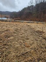 팜모닝 참깨·영농일지 게시글 이미지