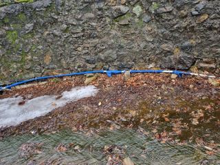 김용대님의 기타작물 · 영농일지 작성글 사진