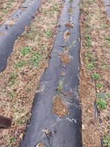 상추20832님의 작성글 사진