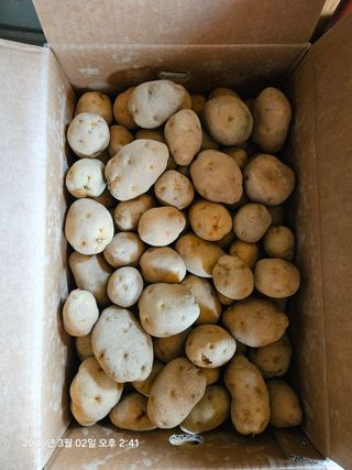 하여튼님의 기타작물 · 영농일지 작성글 사진