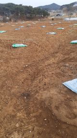 팜모닝 기타작물·영농일지 게시글 이미지