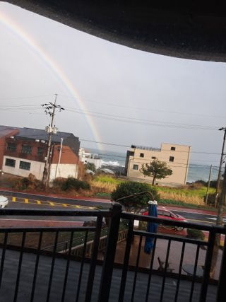 양배추20804님의 기타작물 · 영농일지 작성글 사진