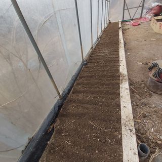 가로수님의 기타작물 · 영농일지 작성글 사진