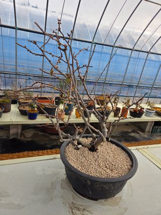 김영순님의 기타작물 · 영농일지 작성글 사진