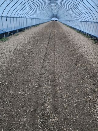 김저팔계님의 기타작물 · 영농일지 작성글 사진