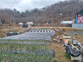 양길호님의 기타작물 · 영농일지 작성글 사진