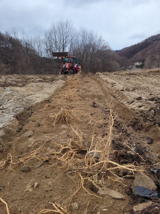 이름유순옥님의 기타작물 · 영농일지 작성글 사진