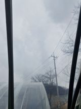 블루베리25247님의 작성글 사진