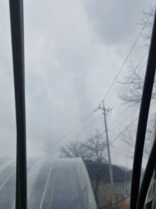 블루베리25247님의 호박 · 영농일지 작성글 사진