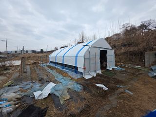 이훈정(시몬)님의 기타작물 · 영농일지 작성글 사진