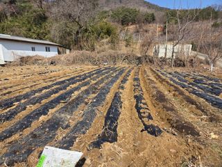 이선희님의 기타작물 · 영농일지 작성글 사진