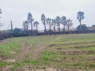 한경훈님의 기타작물 · 영농일지 작성글 사진