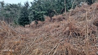 서인덕님의 기타작물 · 영농일지 작성글 사진