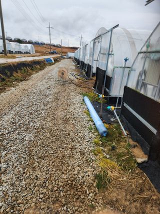 김저팔계님의 기타작물 · 영농일지 작성글 사진