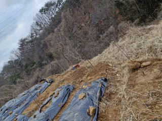 텃밭농사초보님의 기타작물 · 영농일지 작성글 사진