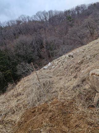 텃밭농사초보님의 기타작물 · 영농일지 작성글 사진