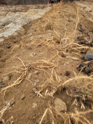 이름유순옥님의 기타작물 · 영농일지 작성글 사진