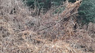 서인덕님의 기타작물 · 영농일지 작성글 사진