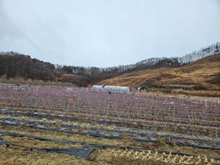 류대균님의 기타작물 · 영농일지 작성글 사진