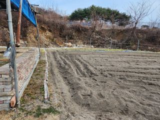 주말농장님의 마늘 · 영농일지 작성글 사진