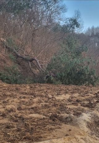 박사원농장님의 기타작물 · 영농일지 작성글 사진