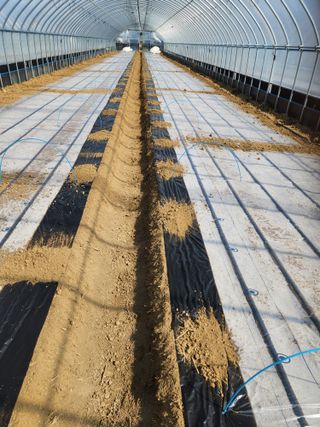 김저팔계님의 기타작물 · 영농일지 작성글 사진