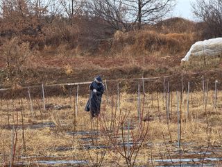 들깨19419님의 기타작물 · 영농일지 작성글 사진