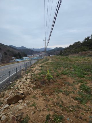 이영철님의 기타작물 · 영농일지 작성글 사진