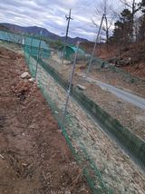 팜모닝 기타작물·영농일지 게시글 이미지