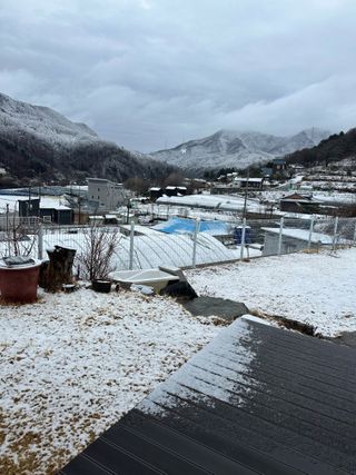 이익수님의 기타작물 · 영농일지 작성글 사진