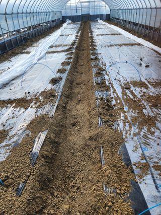 김저팔계님의 기타작물 · 영농일지 작성글 사진