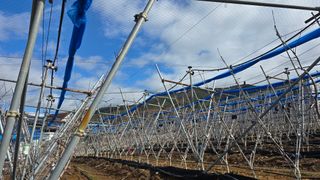 축복의땅 에덴동산님의 사과 · 영농일지 작성글 사진