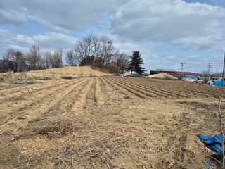 김경형님의 기타작물 · 영농일지 작성글 사진