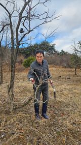 팜모닝 감·영농일지 게시글 이미지