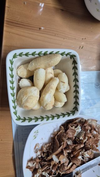 자작나무님의 감자 · 영농일지 작성글 사진