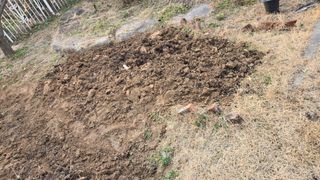 윤두현님의 기타작물 · 영농일지 작성글 사진